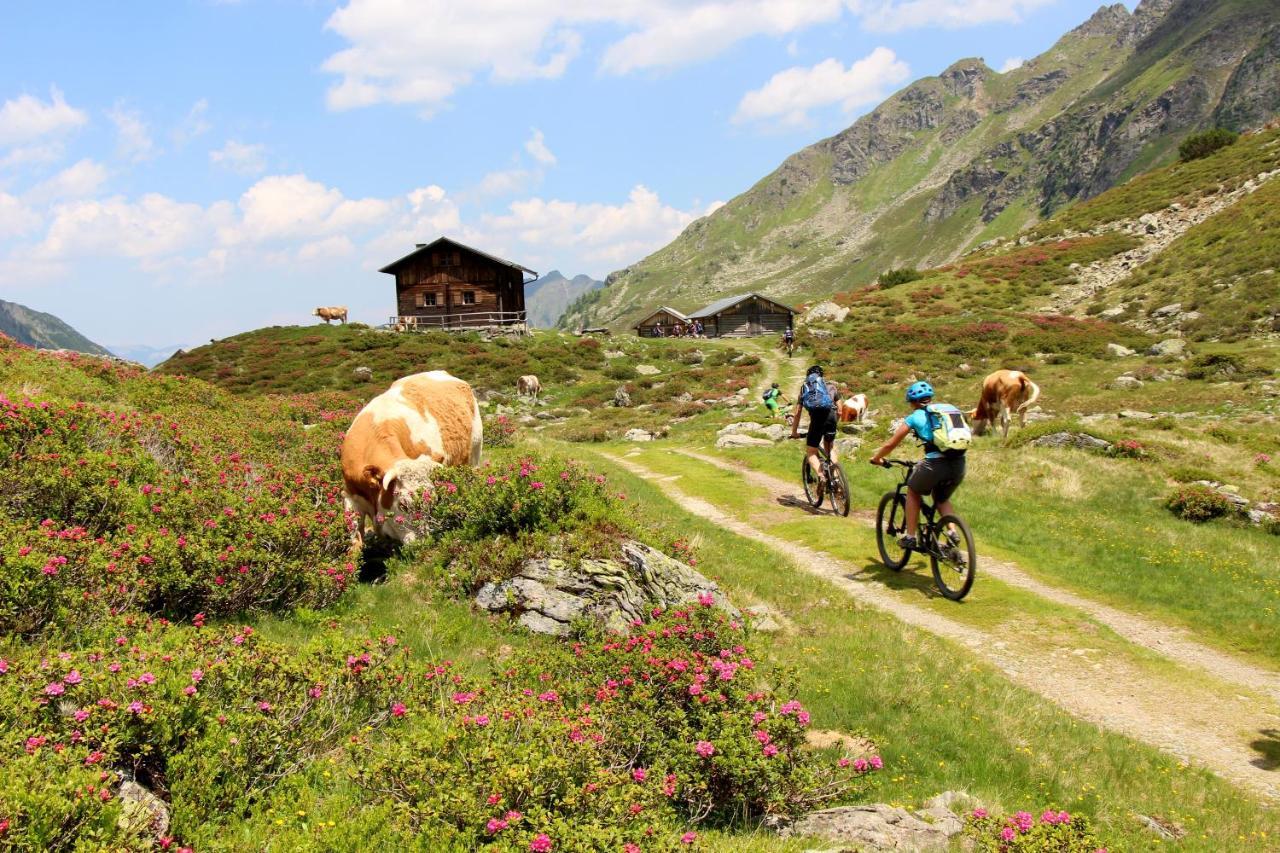 Rohrmooser Schloessl Schladming Esterno foto